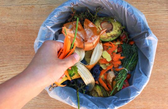 פח אשפה 60 ליטר2