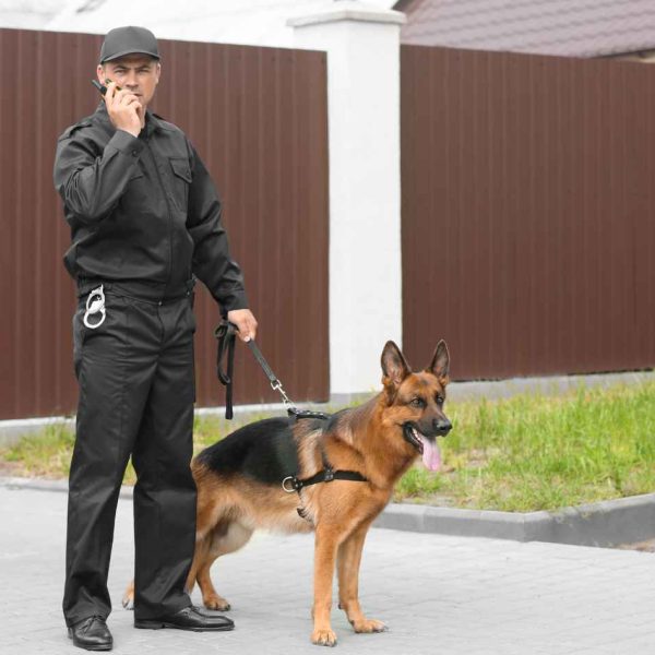Security Courses and training2